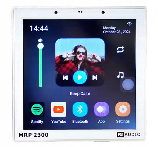 Акустична система - вбудоване інтернет радіо + динаміки 40 Вт